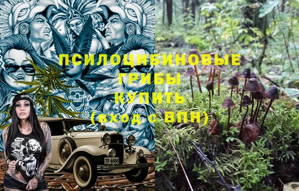 mdpv Баксан