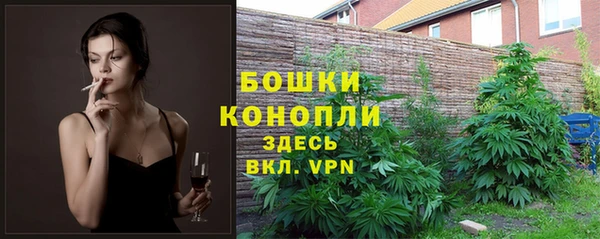 ПСИЛОЦИБИНОВЫЕ ГРИБЫ Балабаново