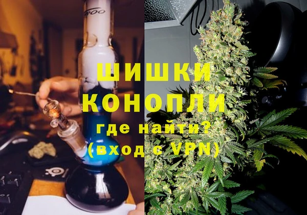 ПСИЛОЦИБИНОВЫЕ ГРИБЫ Балабаново
