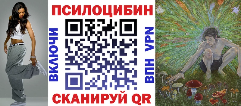 сколько стоит  Щёкино  Псилоцибиновые грибы Cubensis 